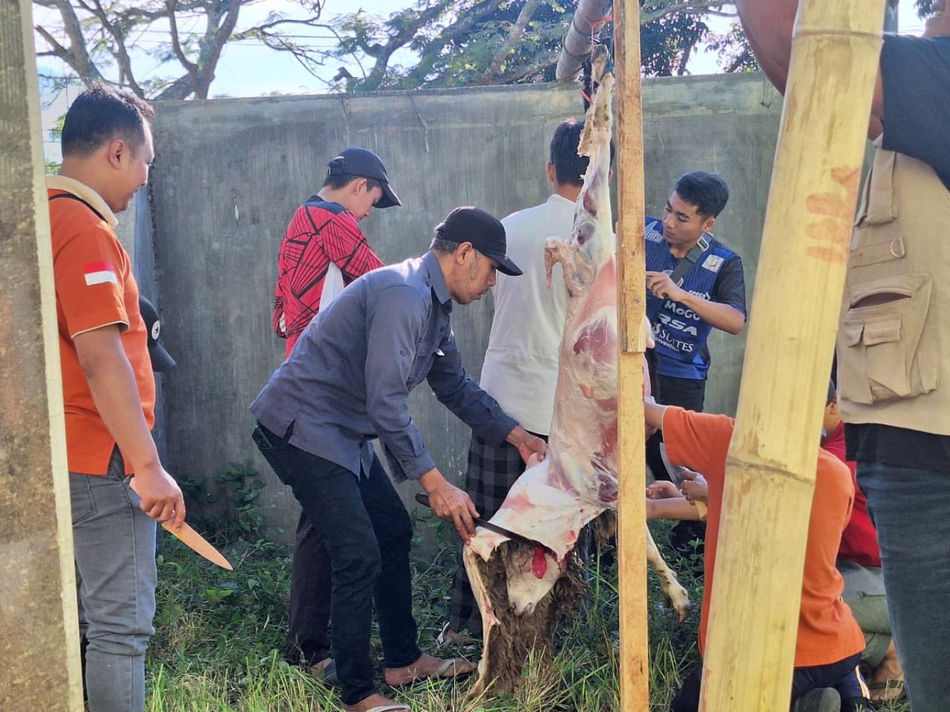 Semangat Berbagi di Hari Raya Idul Adha, MAN Kota Batu Sukses Laksanakan Penyembelihan Hewan Kurban